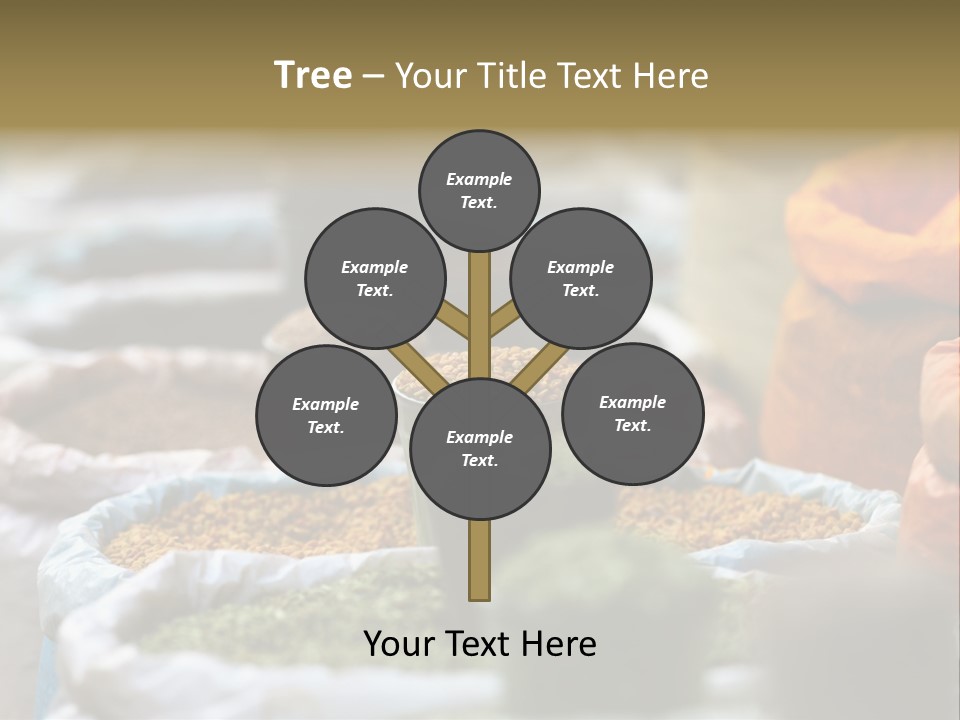 Africa Bazaar Cook PowerPoint Template