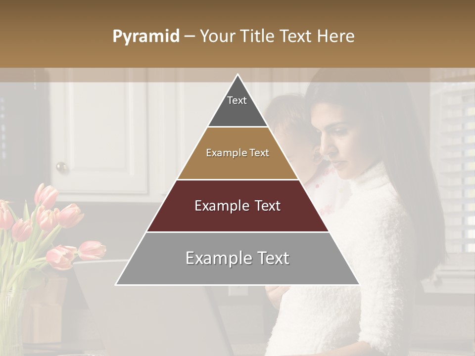 Women Laptop Paying PowerPoint Template