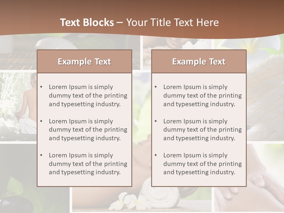 Zen Facial Wellness PowerPoint Template