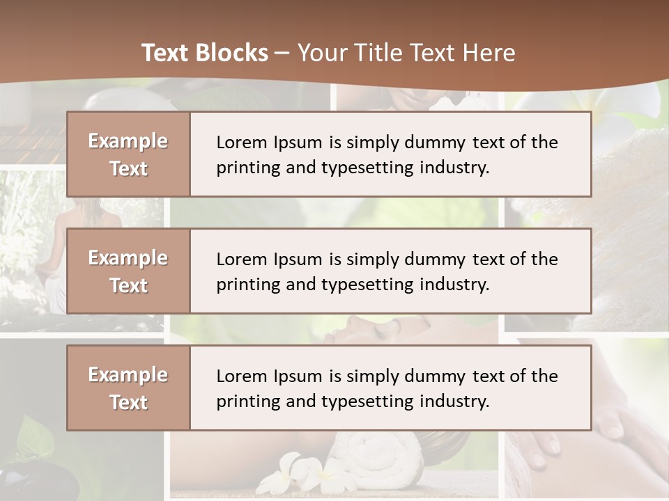 Zen Facial Wellness PowerPoint Template