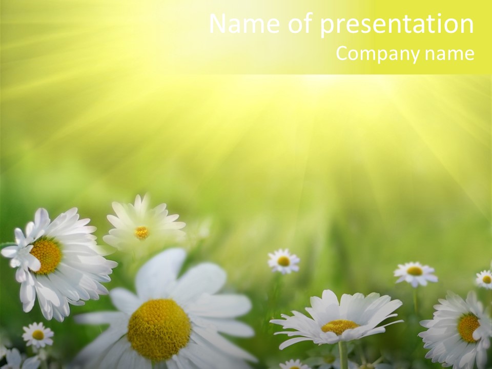 Herb Easter Aroma PowerPoint Template