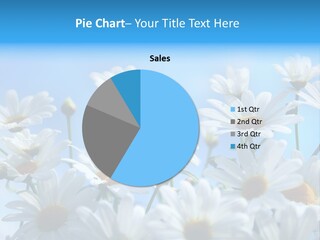 Tea Bloom Grow PowerPoint Template