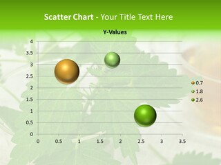 Wildkraut Nessel Aroma PowerPoint Template