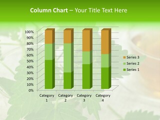 Wildkraut Nessel Aroma PowerPoint Template