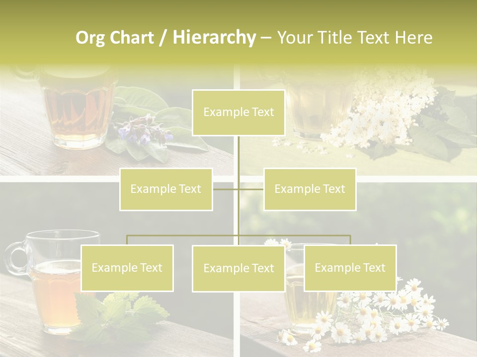 Vitamine Duftend Holunder PowerPoint Template