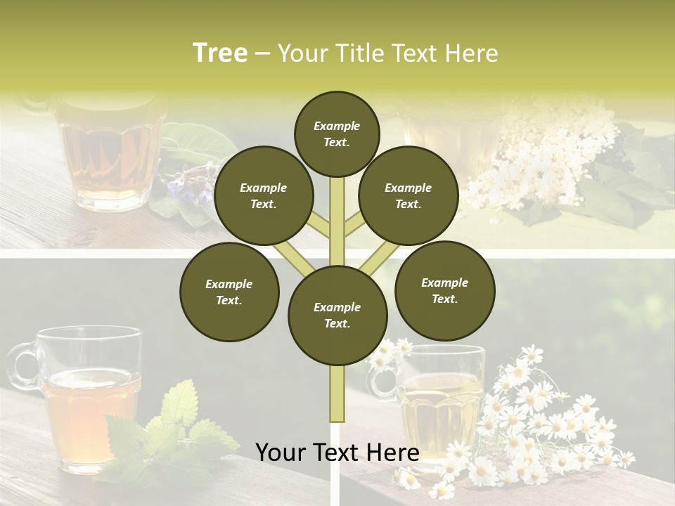 Vitamine Duftend Holunder PowerPoint Template