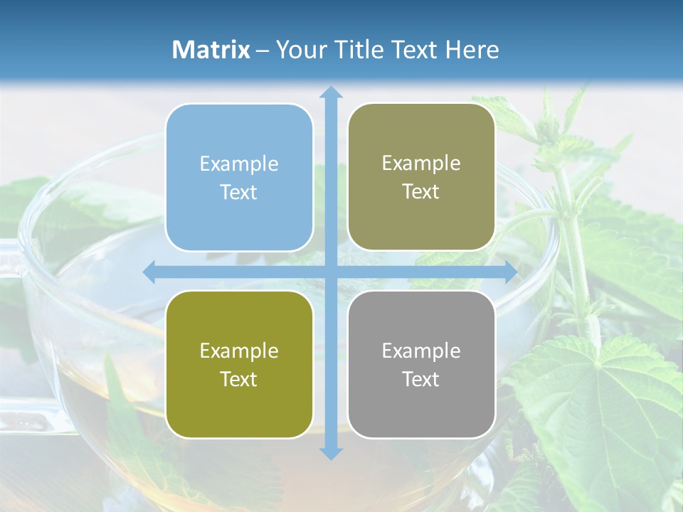 Nahaufnahme Brennnessel Gesundheit PowerPoint Template