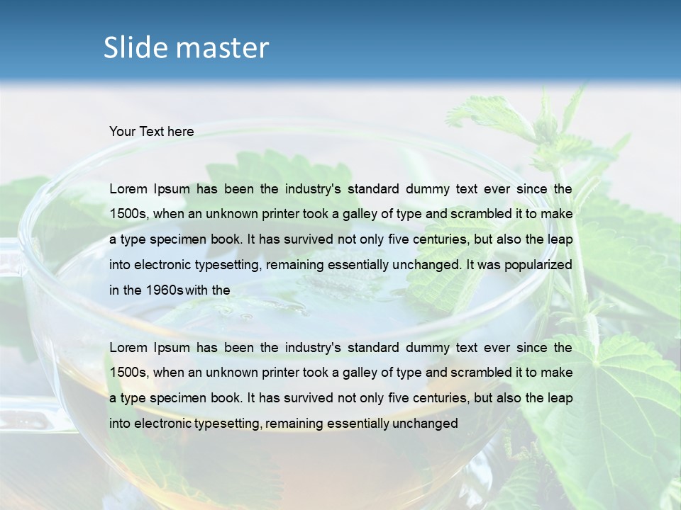 Nahaufnahme Brennnessel Gesundheit PowerPoint Template