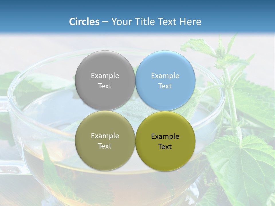 Nahaufnahme Brennnessel Gesundheit PowerPoint Template