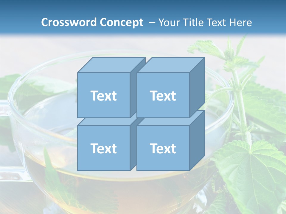 Nahaufnahme Brennnessel Gesundheit PowerPoint Template