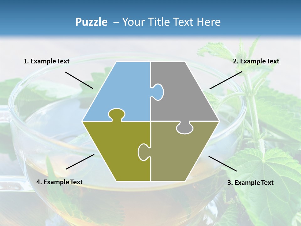 Nahaufnahme Brennnessel Gesundheit PowerPoint Template