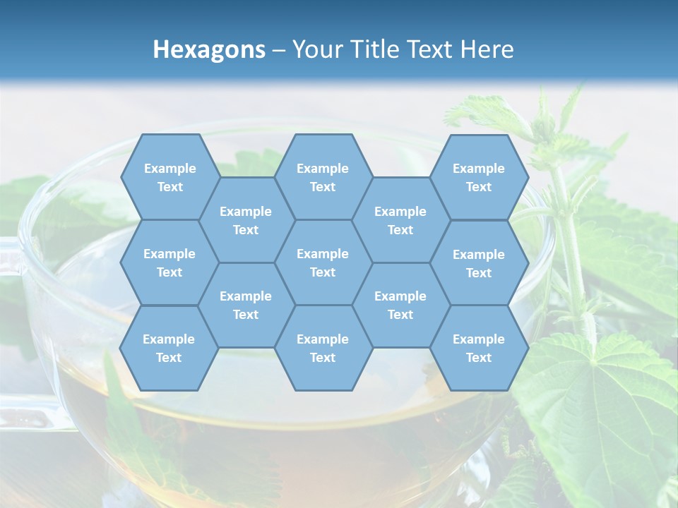 Nahaufnahme Brennnessel Gesundheit PowerPoint Template