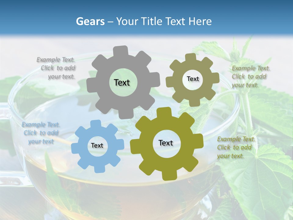 Nahaufnahme Brennnessel Gesundheit PowerPoint Template