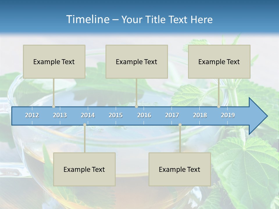 Nahaufnahme Brennnessel Gesundheit PowerPoint Template
