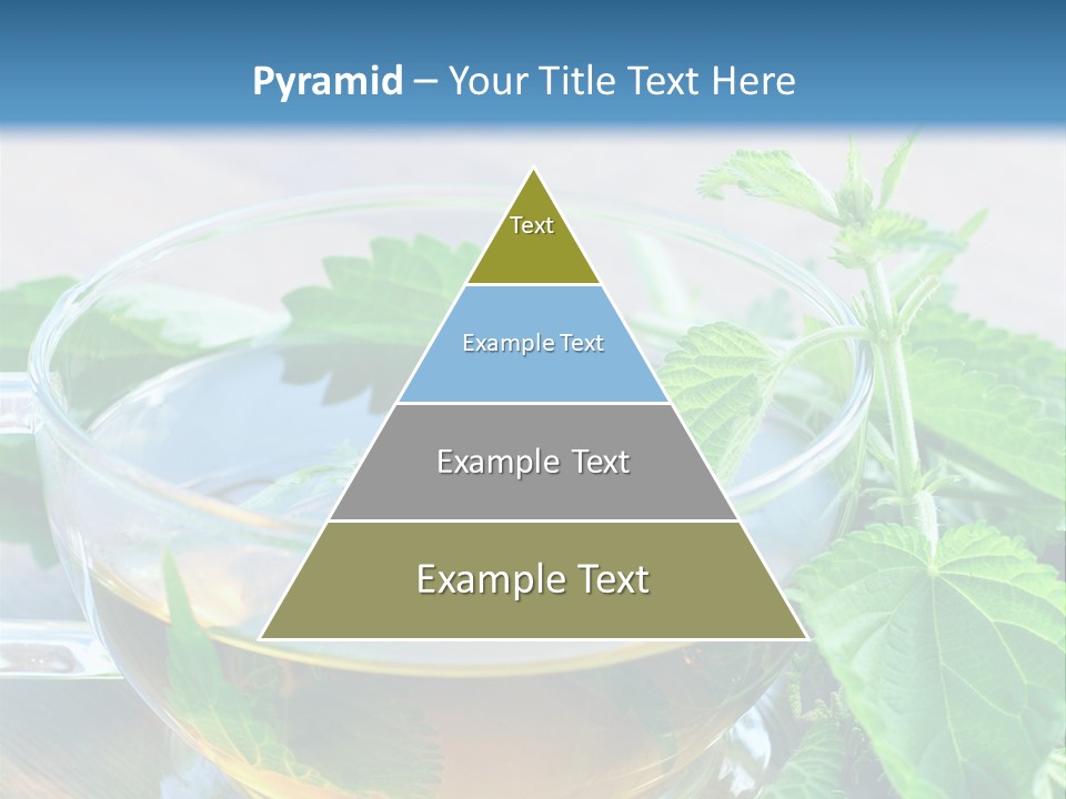 Nahaufnahme Brennnessel Gesundheit PowerPoint Template