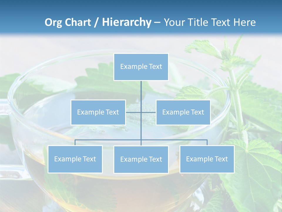 Nahaufnahme Brennnessel Gesundheit PowerPoint Template