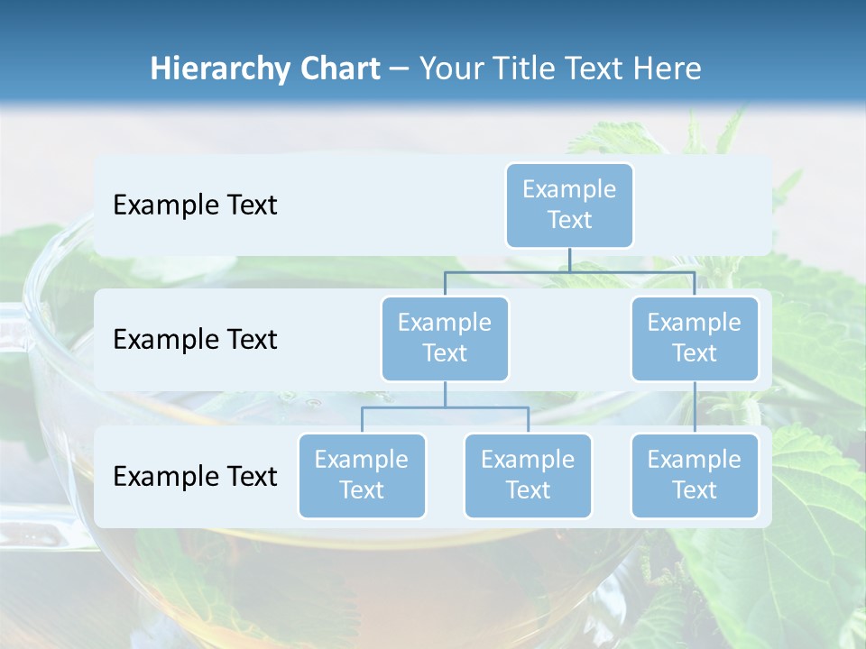 Nahaufnahme Brennnessel Gesundheit PowerPoint Template