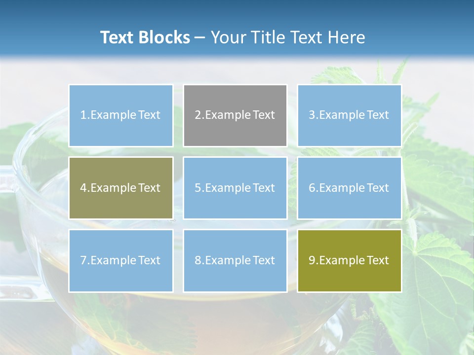 Nahaufnahme Brennnessel Gesundheit PowerPoint Template