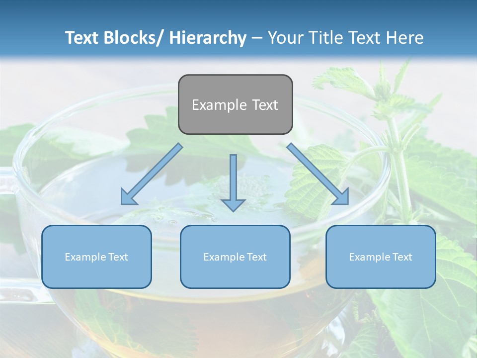 Nahaufnahme Brennnessel Gesundheit PowerPoint Template