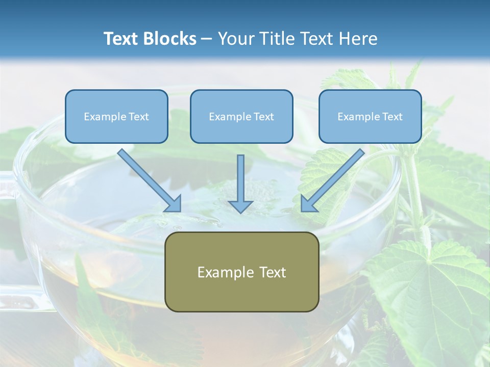 Nahaufnahme Brennnessel Gesundheit PowerPoint Template