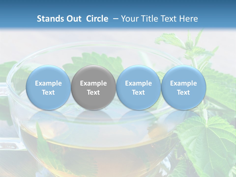 Nahaufnahme Brennnessel Gesundheit PowerPoint Template