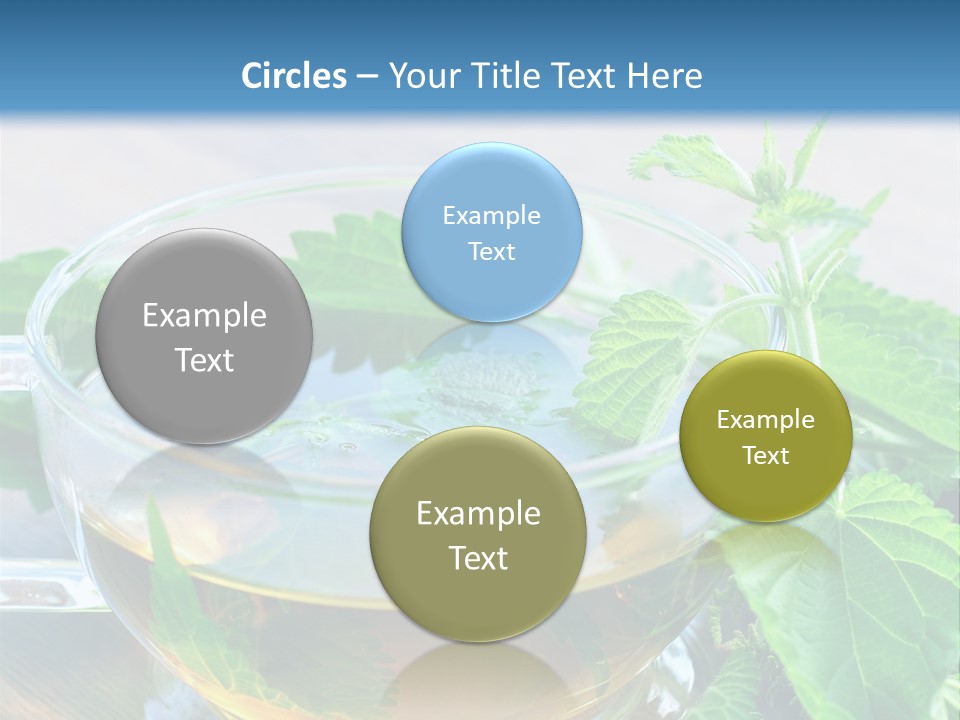 Nahaufnahme Brennnessel Gesundheit PowerPoint Template
