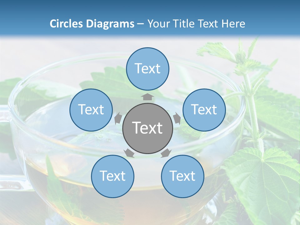 Nahaufnahme Brennnessel Gesundheit PowerPoint Template