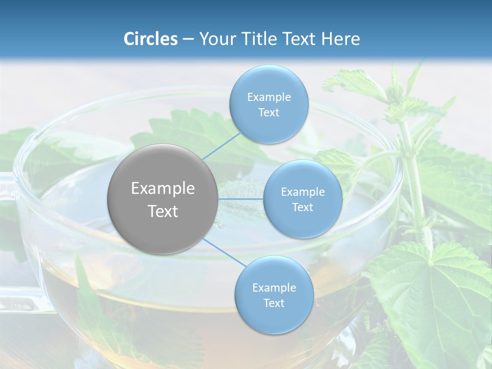 Nahaufnahme Brennnessel Gesundheit PowerPoint Template