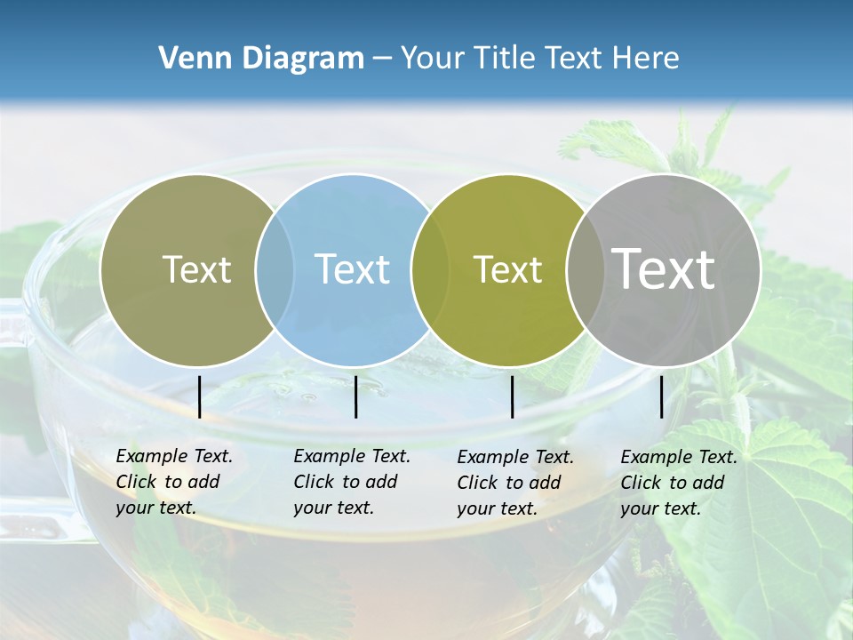 Nahaufnahme Brennnessel Gesundheit PowerPoint Template