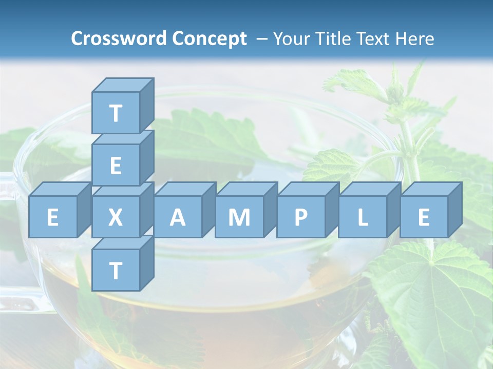Nahaufnahme Brennnessel Gesundheit PowerPoint Template