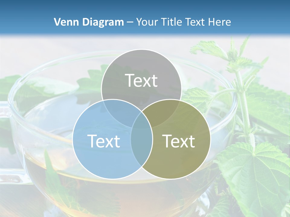 Nahaufnahme Brennnessel Gesundheit PowerPoint Template