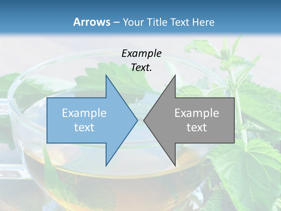 Nahaufnahme Brennnessel Gesundheit PowerPoint Template