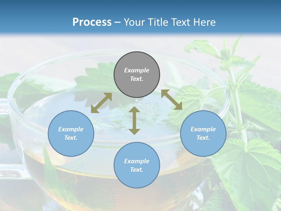 Nahaufnahme Brennnessel Gesundheit PowerPoint Template