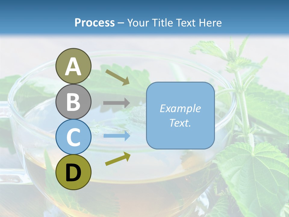 Nahaufnahme Brennnessel Gesundheit PowerPoint Template