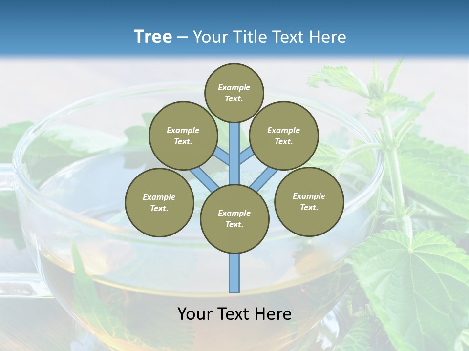 Nahaufnahme Brennnessel Gesundheit PowerPoint Template