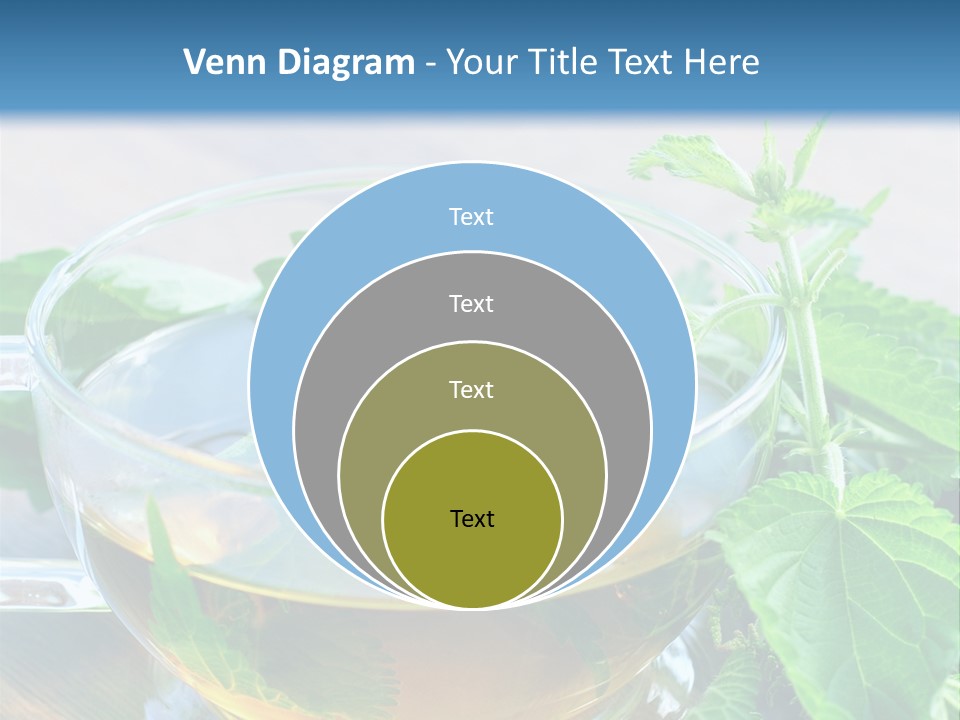 Nahaufnahme Brennnessel Gesundheit PowerPoint Template