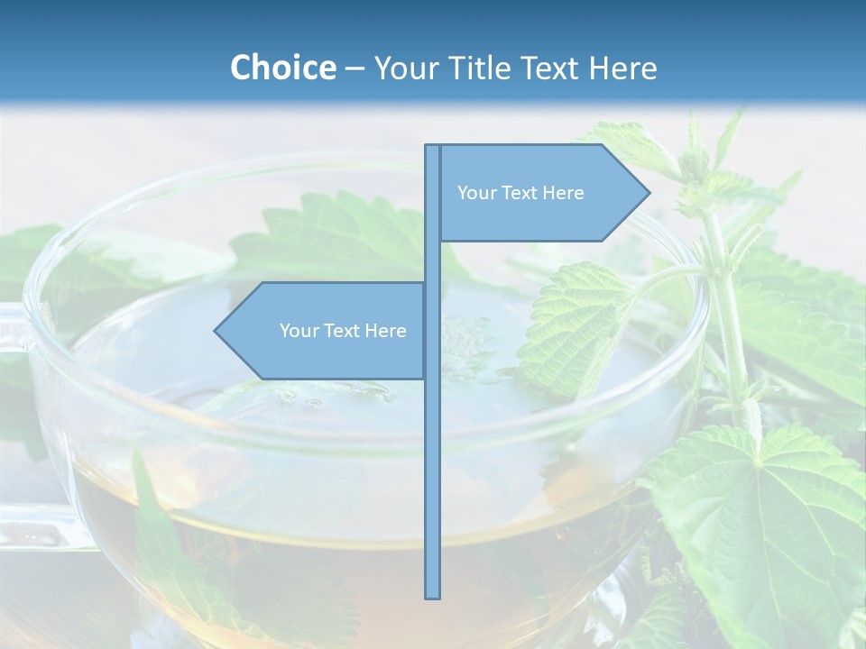 Nahaufnahme Brennnessel Gesundheit PowerPoint Template