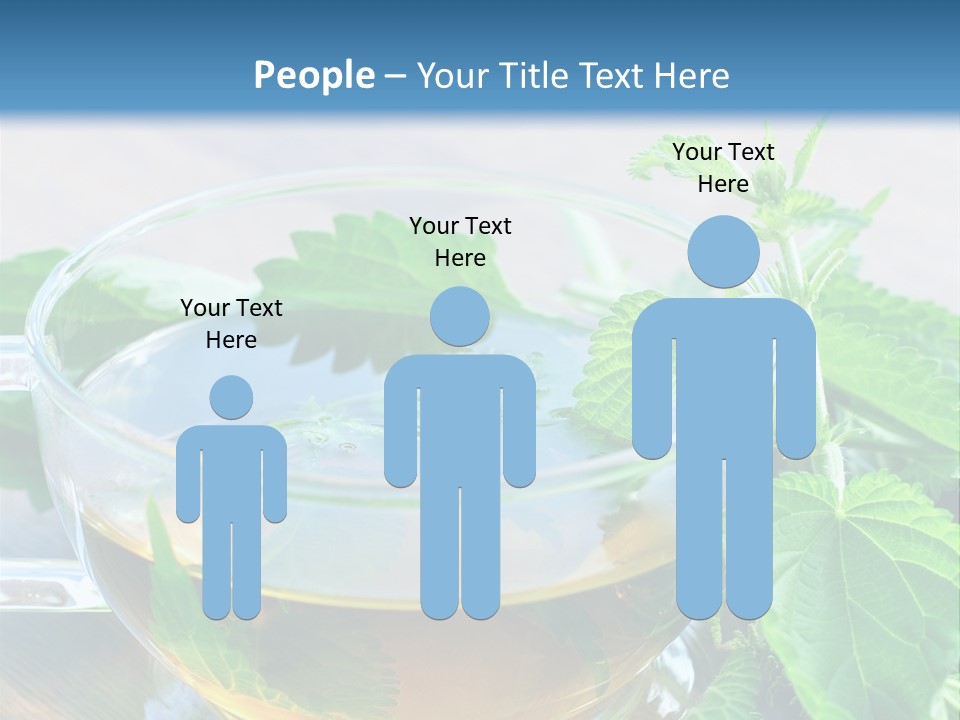 Nahaufnahme Brennnessel Gesundheit PowerPoint Template