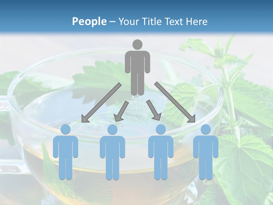 Nahaufnahme Brennnessel Gesundheit PowerPoint Template