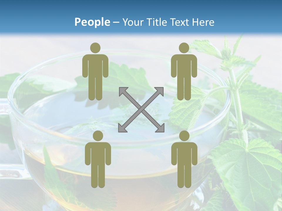 Nahaufnahme Brennnessel Gesundheit PowerPoint Template