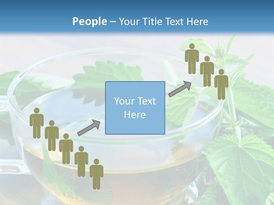 Nahaufnahme Brennnessel Gesundheit PowerPoint Template