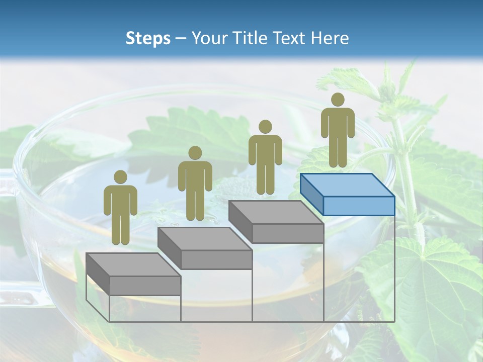 Nahaufnahme Brennnessel Gesundheit PowerPoint Template