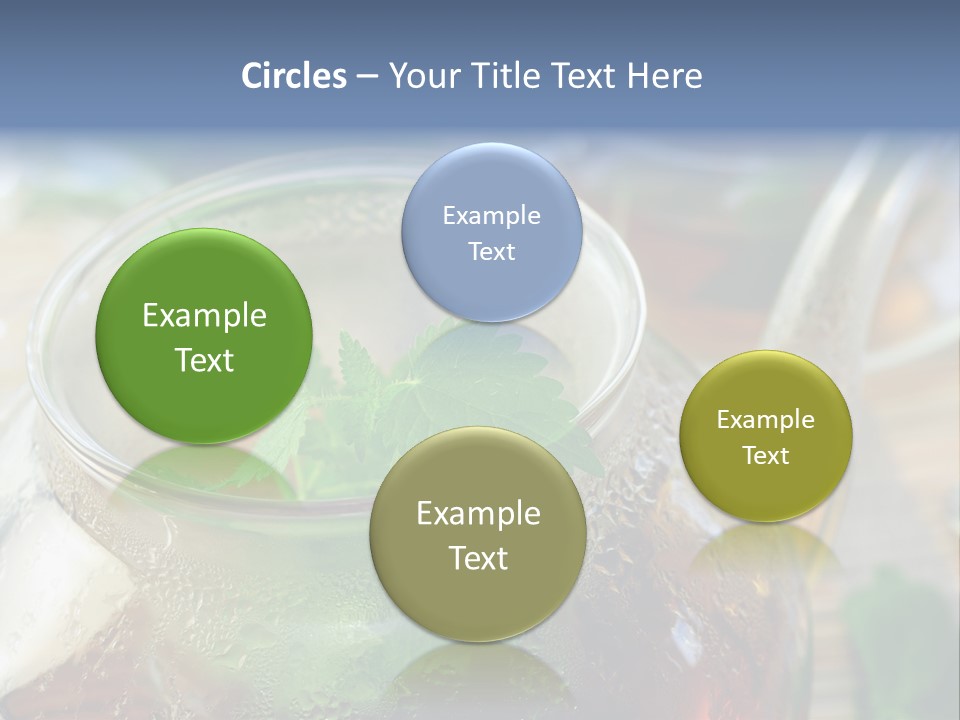 Wohlbefinden Arzneipflanze Entschlackung PowerPoint Template