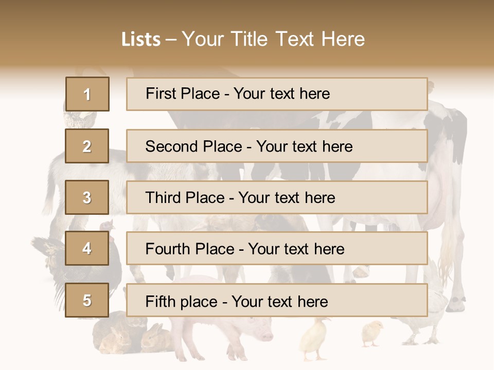 Donkey Studio Shot Rabbit PowerPoint Template