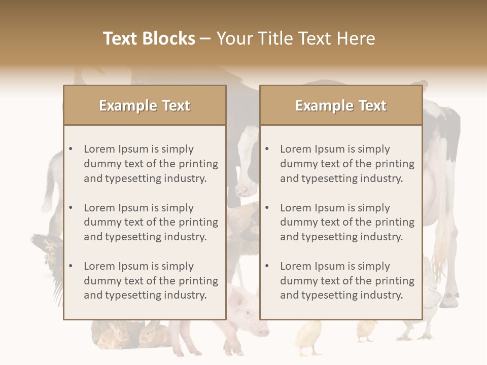 Donkey Studio Shot Rabbit PowerPoint Template