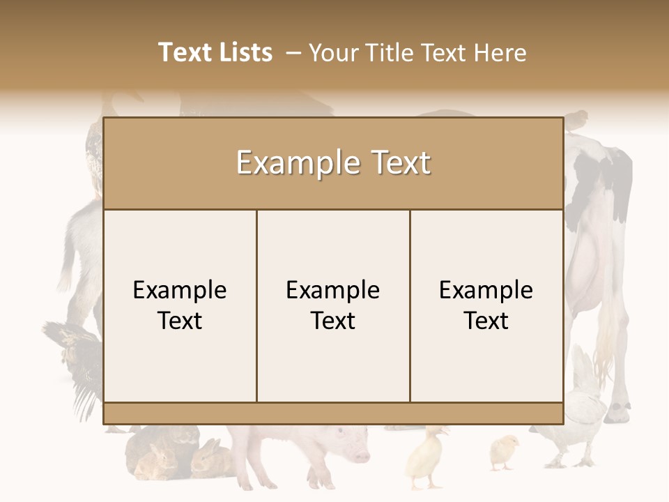 Donkey Studio Shot Rabbit PowerPoint Template