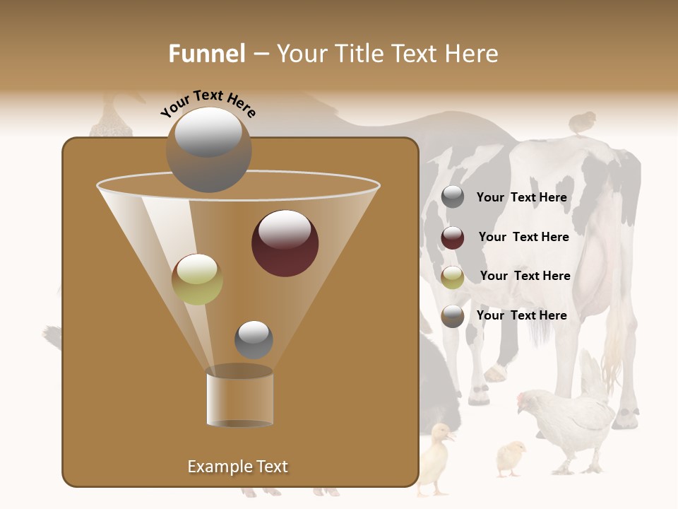 Donkey Studio Shot Rabbit PowerPoint Template