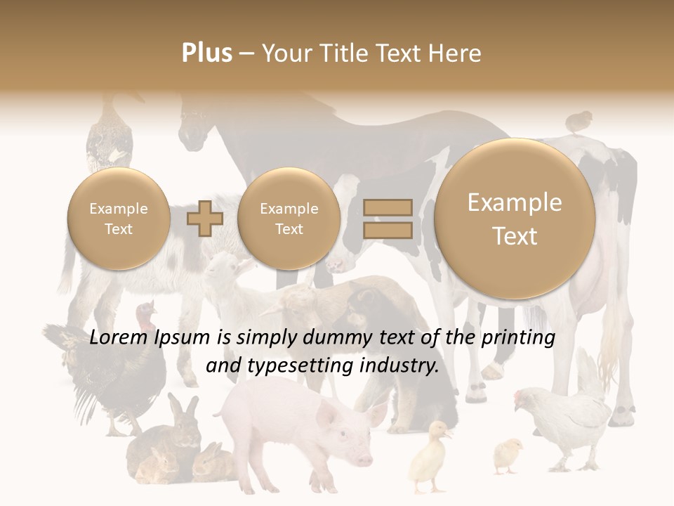 Donkey Studio Shot Rabbit PowerPoint Template