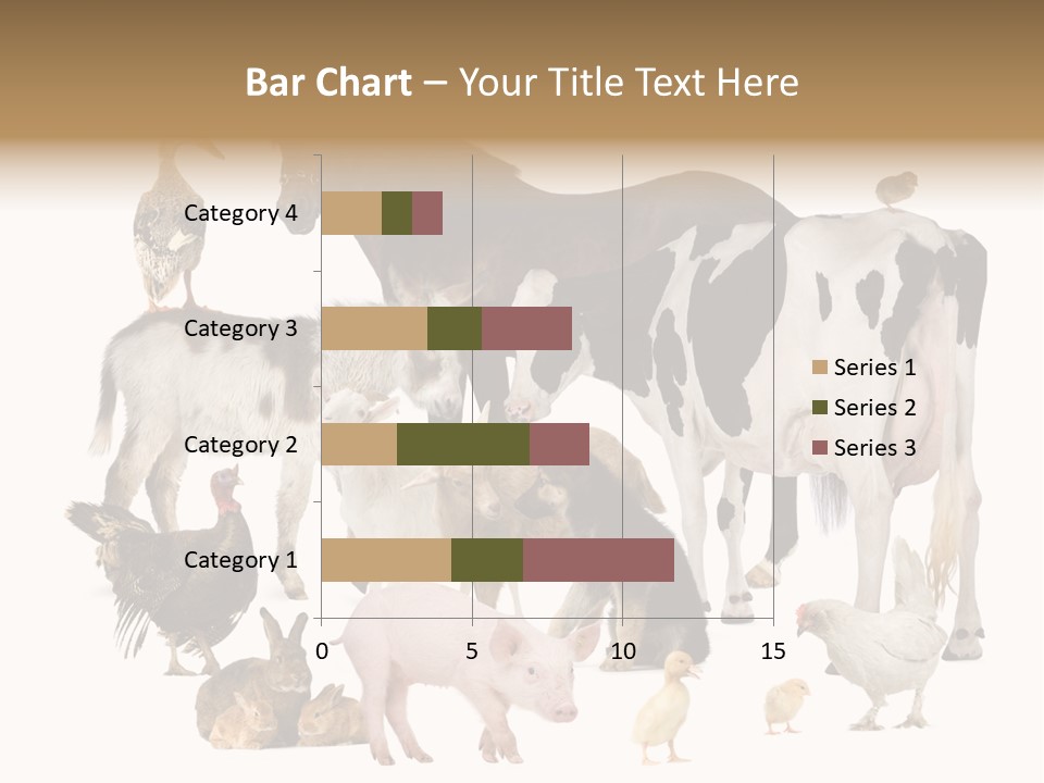 Donkey Studio Shot Rabbit PowerPoint Template