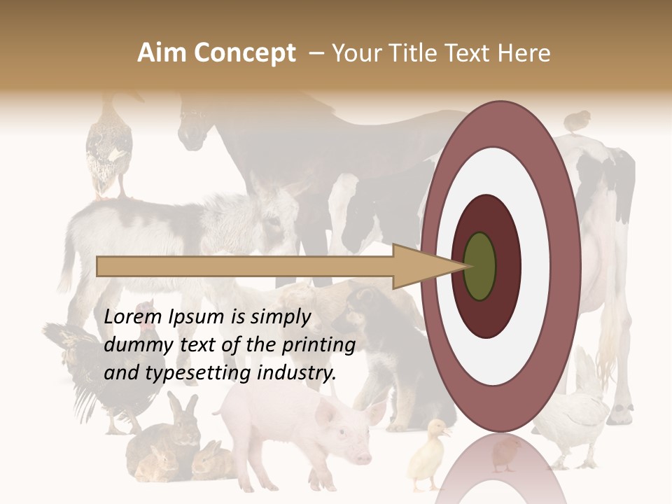 Donkey Studio Shot Rabbit PowerPoint Template